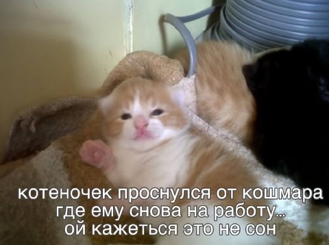 доброе утро..