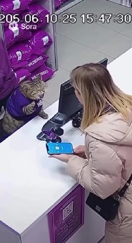 мем