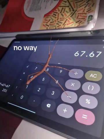 по way 8