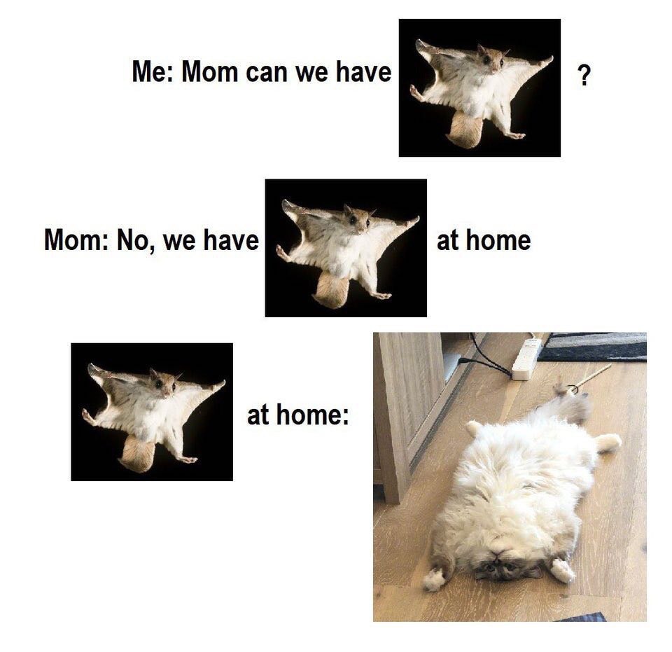 Mom can we have Мот: we have at home athome: