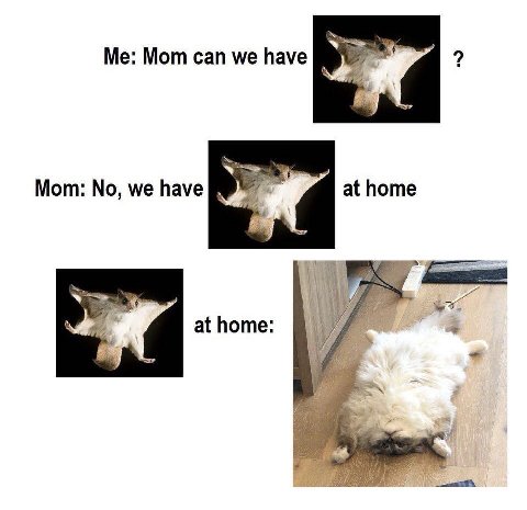 Mom can we have Мот: we have at home athome: