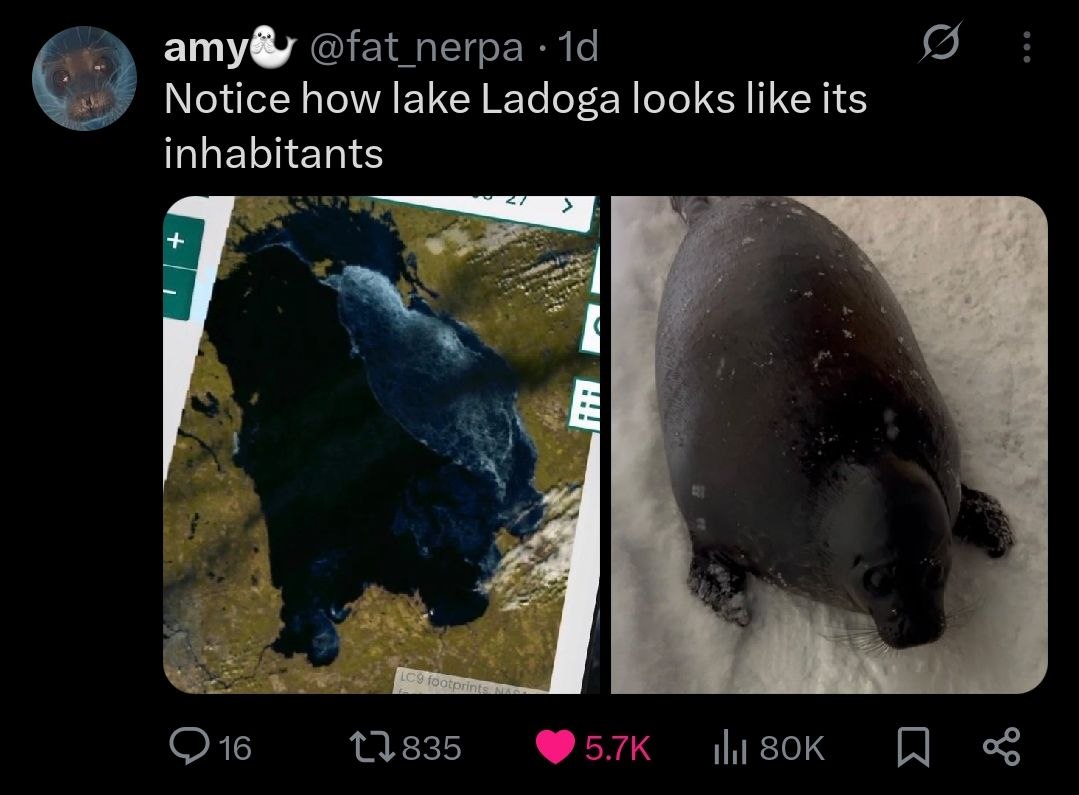 amy& Notice how lake Ladoga looks like its inhabitants