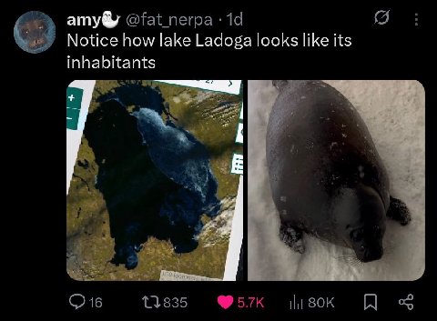 amy& Notice how lake Ladoga looks like its inhabitants