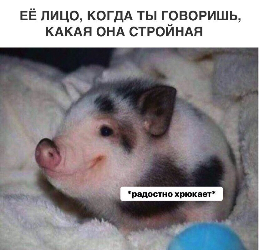 ЕЁ ЛИЦО, КОГДА ТЫ ГОВОРИШЬ, КАКАЯ ОНА СТРОЙНАЯ
