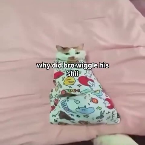 iwhy, didibrow igglelhis)