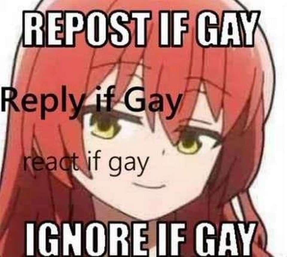 GAY