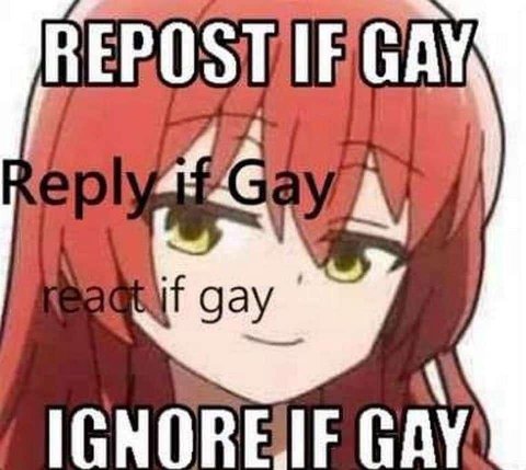 GAY
