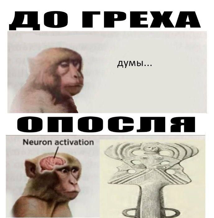 думы onocns Neuron activation