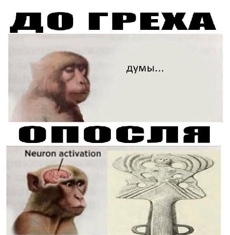 думы onocns Neuron activation