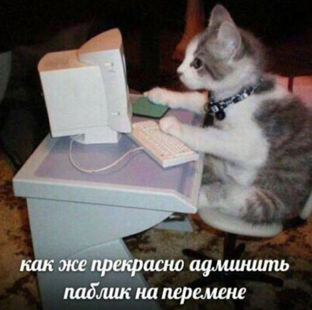 как же прекрасно админить паблик на перемене