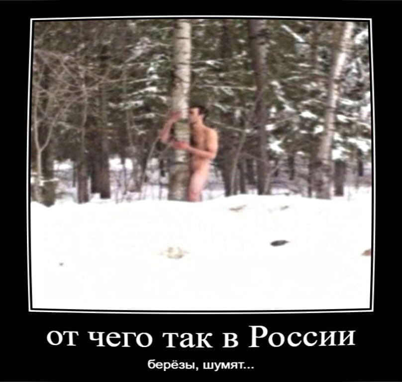 от чего так в России берёзы, шумят...