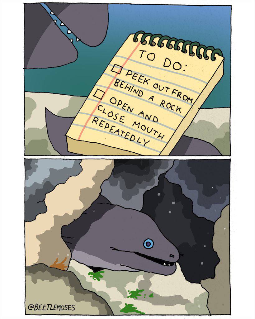 TO A ROCK