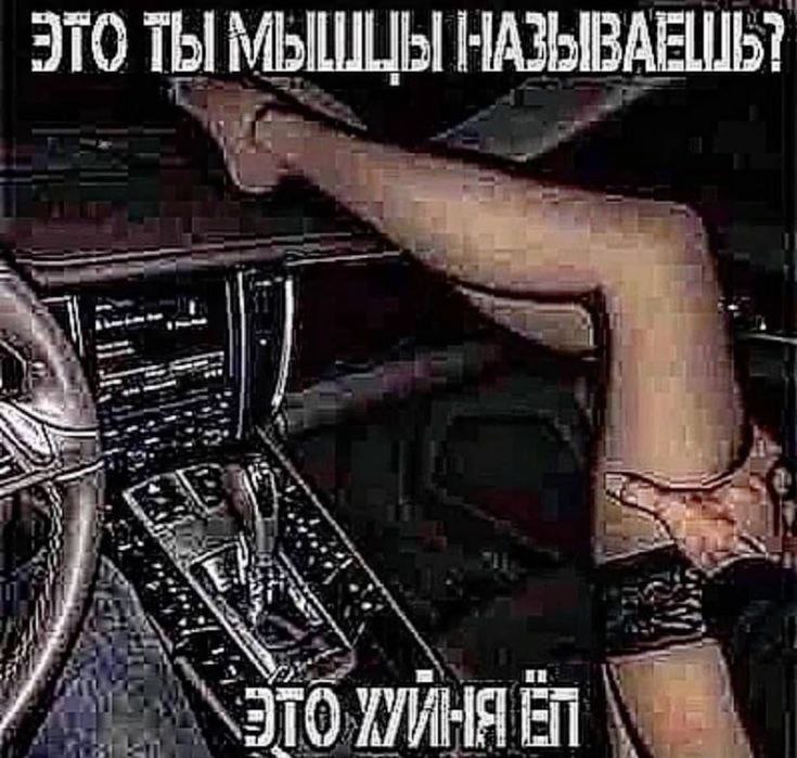 ТЫ МЫШЦЫ a i