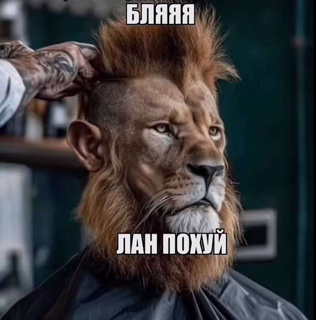 БЛЯЯЯ ЛАН ПОХУИ