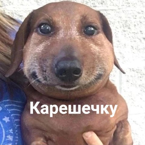 девочка: расстаётся с парнем и думает как постричься 

отец:
