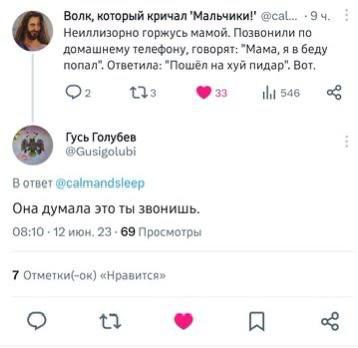 Волк, который кричал @cal... Неиллизорно горжусь мамой. Позвонили по a домашнему телефону, говорят: "Мама, я в беду попал”. Ответила: "Пошел на хуй пидар". Вот, О? 546 Гусь Голубев В ответ @calmandsie