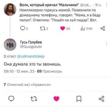 Волк, который кричал @cal... Неиллизорно горжусь мамой. Позвонили по a домашнему телефону, говорят: "Мама, я в беду попал”. Ответила: "Пошел на хуй пидар". Вот, О? 546 Гусь Голубев В ответ @calmandsie