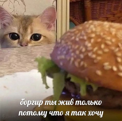 боргир ты только потоли] что я так хочу