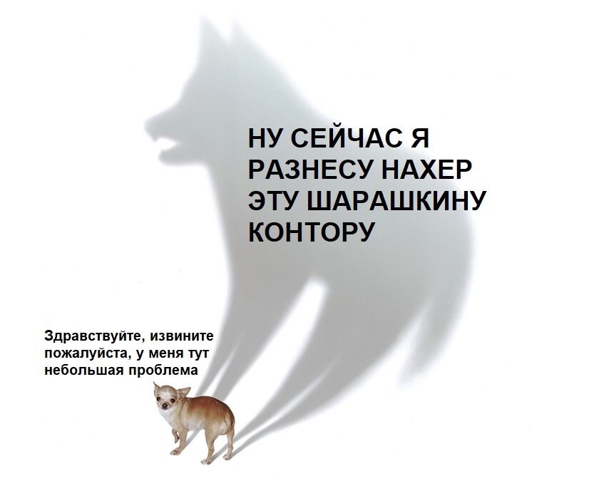 НУ СЕЙЧАС Я РАЗНЕСУ НАХЕР ЭТУ ШАРАШКИНУ КОНТОРУ Здравствуйте, извините небольшая проблема пожалуйста, у меня тут