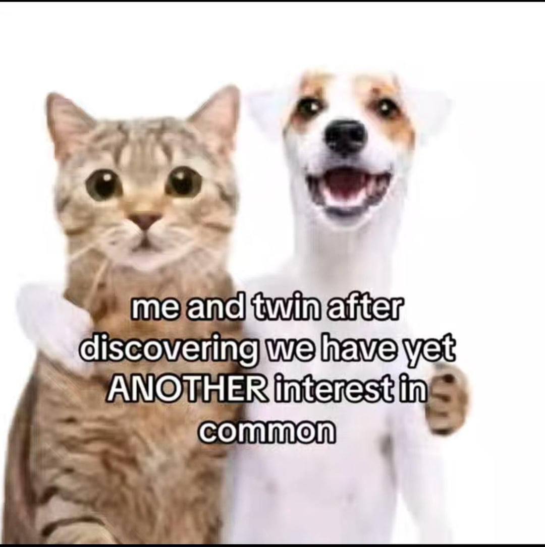 20% interest Common