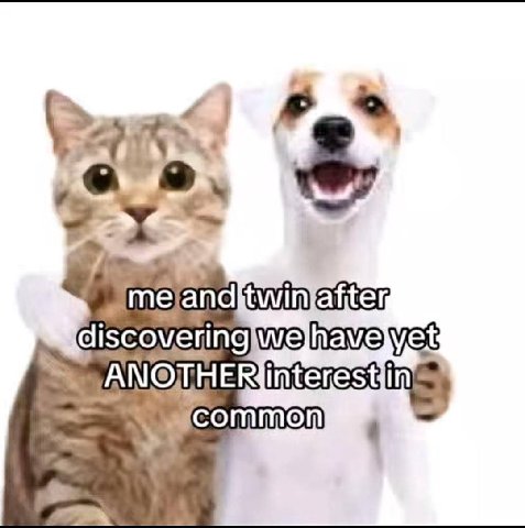 20% interest Common