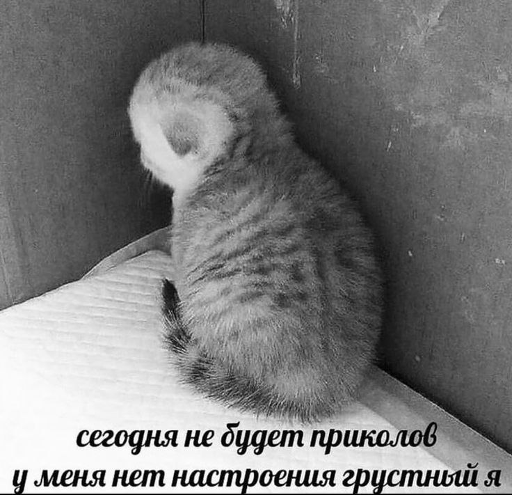 сегодня не будет прико у меня нет настроения грустный