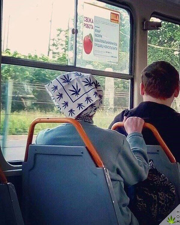 2 4 у 1 я 2