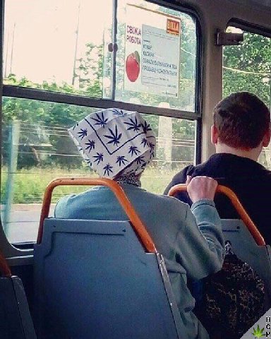 2 4 у 1 я 2