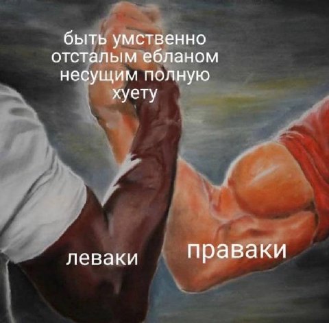 быть умственно отсталым ебланом несущим полную хуету леваки праваки