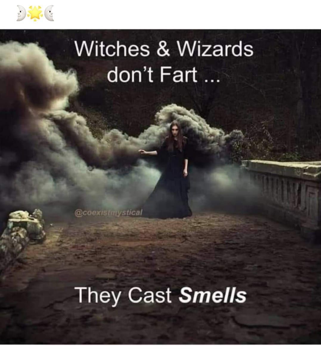 Witches Wizards dont Fart They Cast Smells