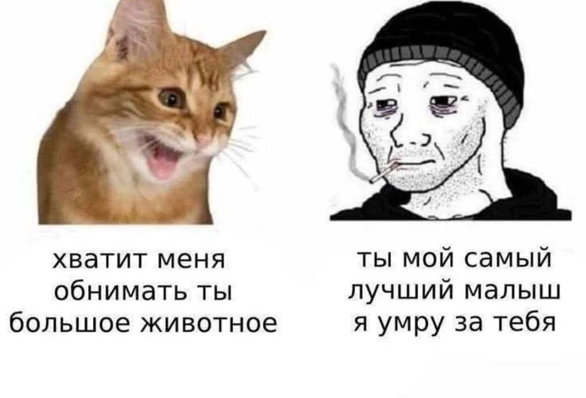 -2 хватит меня ты мой самый обнимать ты лучший малыш большое животное я умру за тебя
