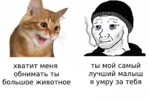 -2 хватит меня ты мой самый обнимать ты лучший малыш большое животное я умру за тебя