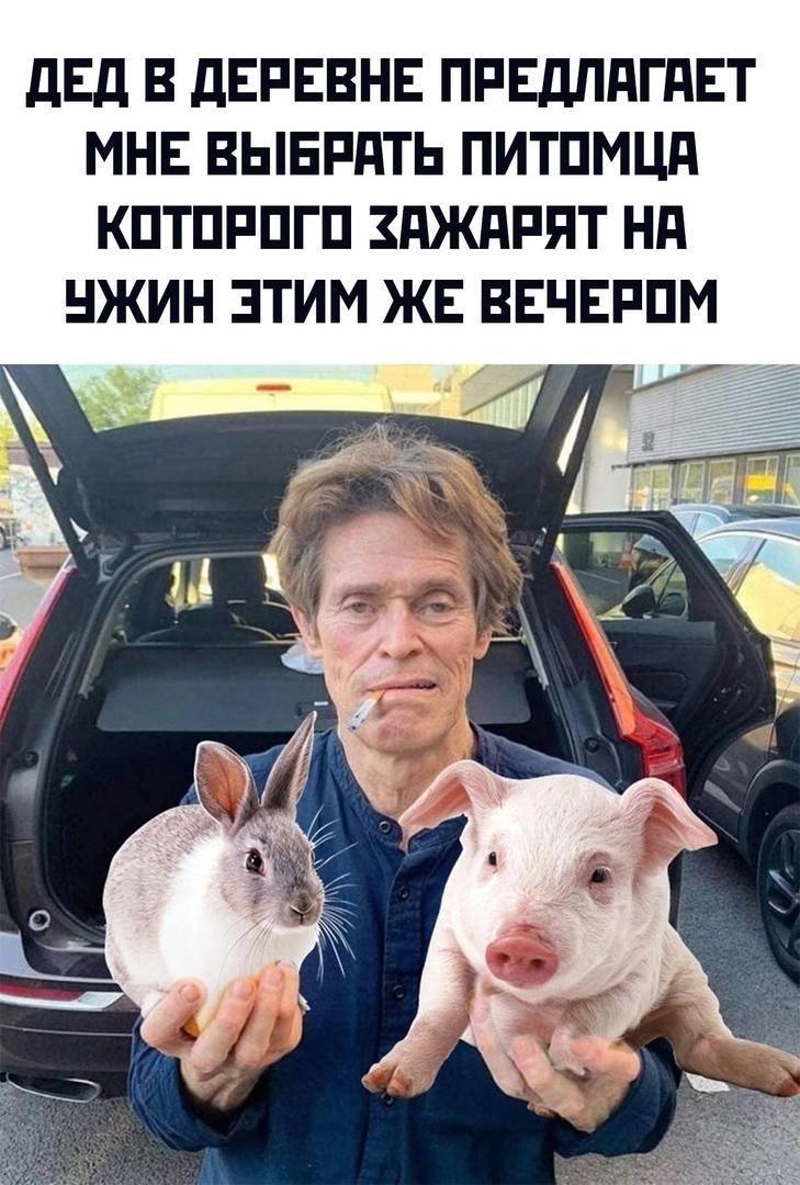 ДЕД В ДЕРЕВНЕ ПРЕДЛАГАЕТ МНЕ ВЫБРАТЬ ПИТОМЦА КОТОРОГО ЗАЖАРЯТ НА УЖИН ЭТИМ ЖЕ ВЕЧЕРОМ 7 A К 4 2 А
