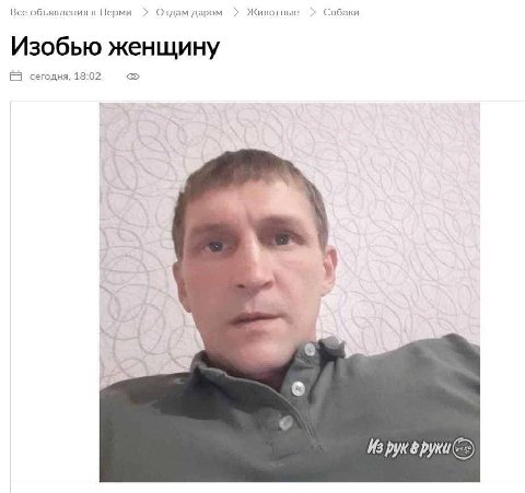 Все объявления в Перми Отдам даром Животные Собаки Изобью женщину сегодня, 18:02 <5> Из DYK руки