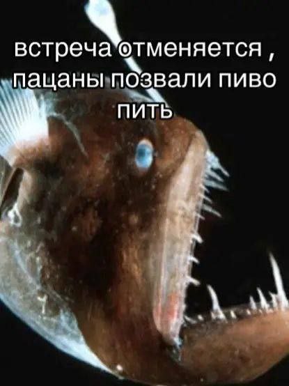 пацаны позвали пиво ПИТЬ