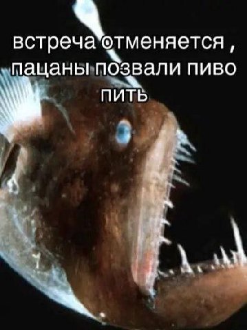 пацаны позвали пиво ПИТЬ