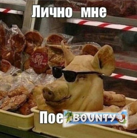 Лично мне