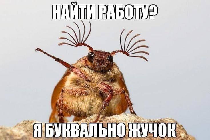 2$) Б АЛЬ Hil