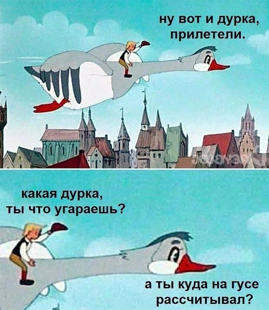 ну вот и дурка, прилетели. А Aya какая дурка, ты что угараешь? 4 аты куда на гусе рассчитывал?