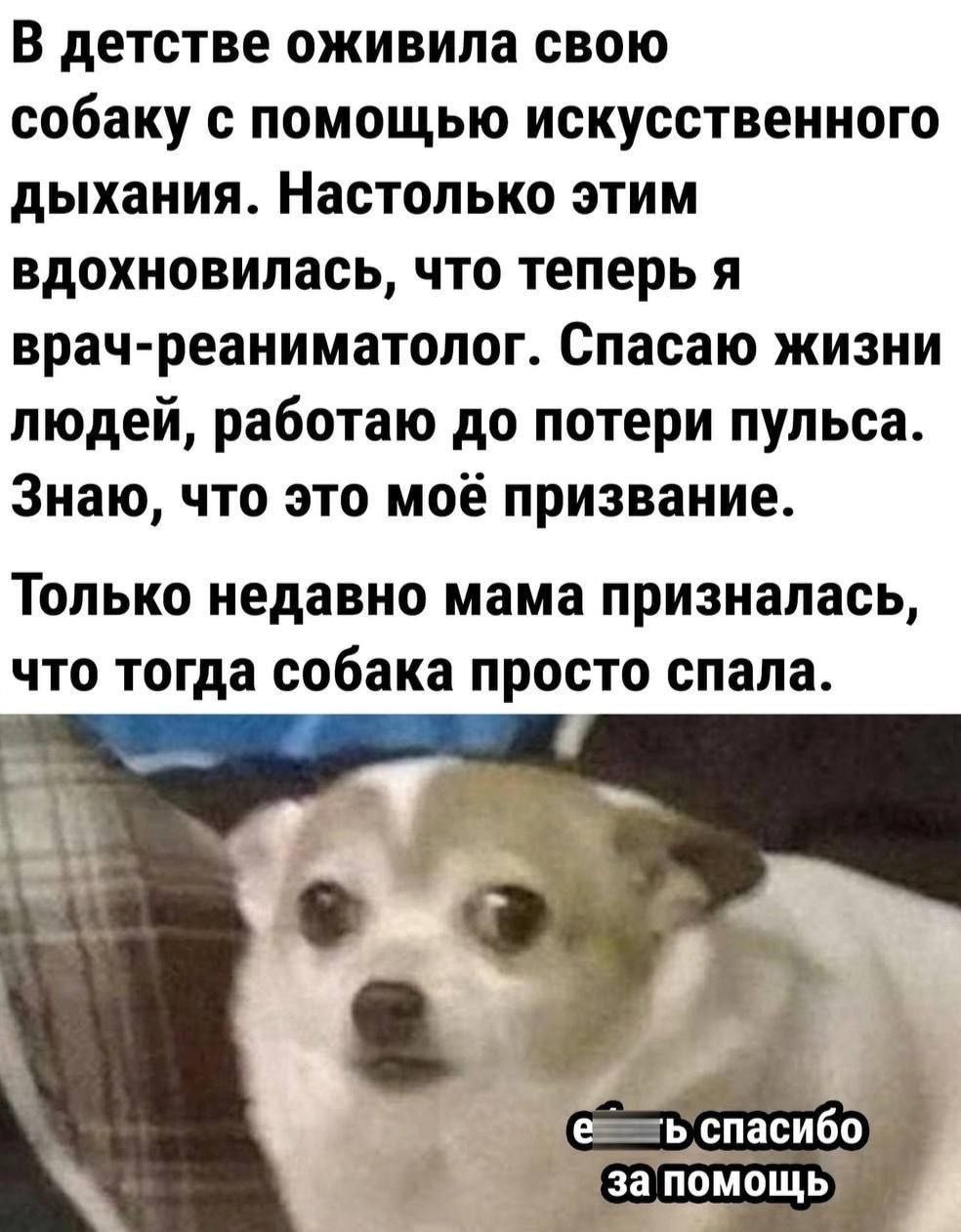 В детстве оживила свою собаку с помощью искусственного дыхания. Настолько этим вдохновилась, что теперь я врач-реаниматолог. Спасаю жизни людей, работаю до потери пульса. Знаю, что это моё призвание. 
