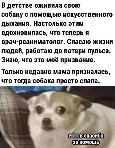 В детстве оживила свою собаку с помощью искусственного дыхания. Настолько этим вдохновилась, что теперь я врач-реаниматолог. Спасаю жизни людей, работаю до потери пульса. Знаю, что это моё призвание. 