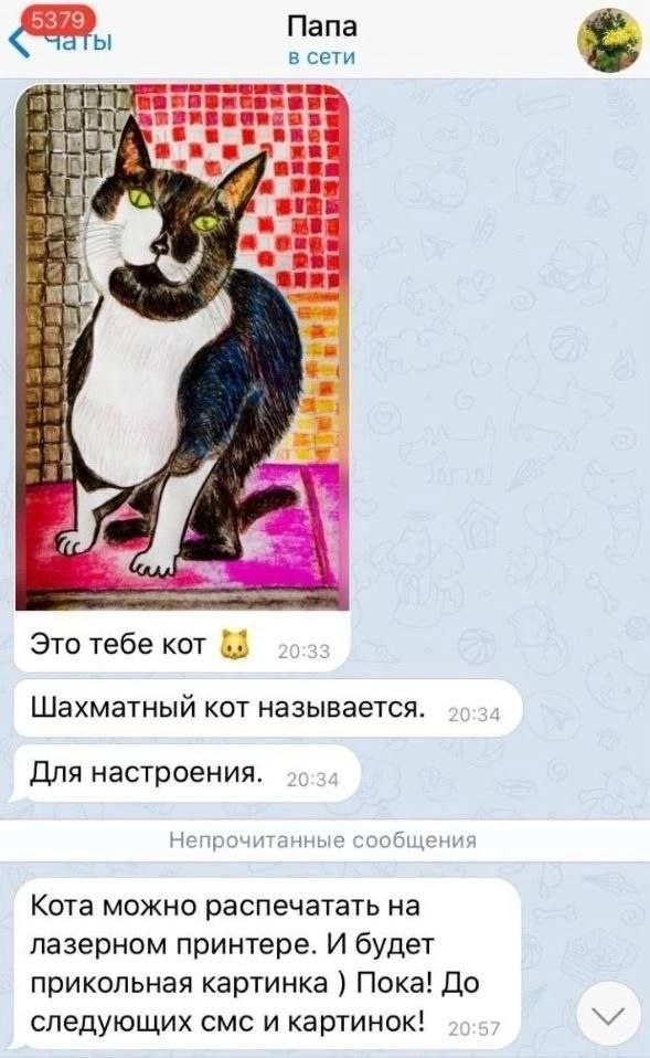Папа в сети (ABT $1 on Это тебе кот Шахматный кот называется. Для настроения. Непрочитанные ообще Кота можно распечатать на лазерном принтере. И будет прикольная картинка Пока! До следующих смс и карт