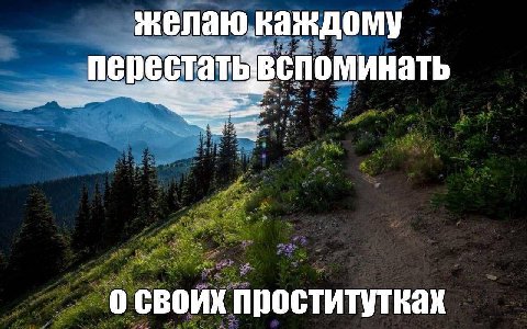 желаю каждому о своих проститутках