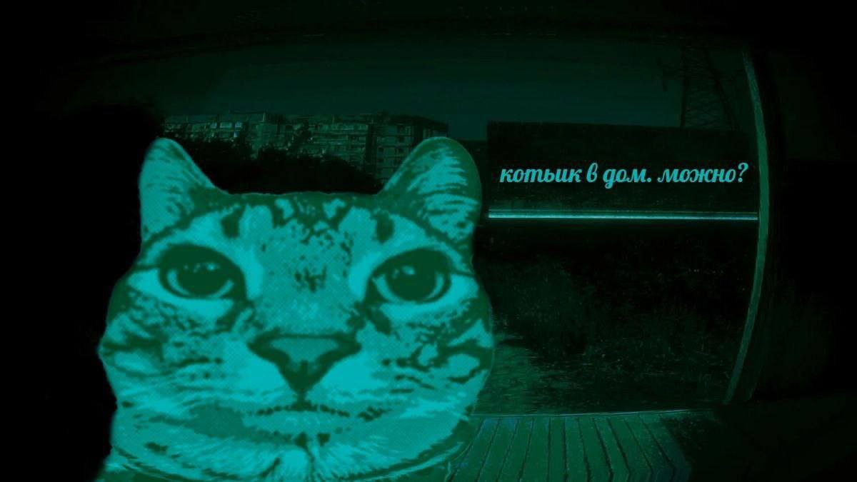 а за котьик 6 дом. можно? 4 1 3 3 1