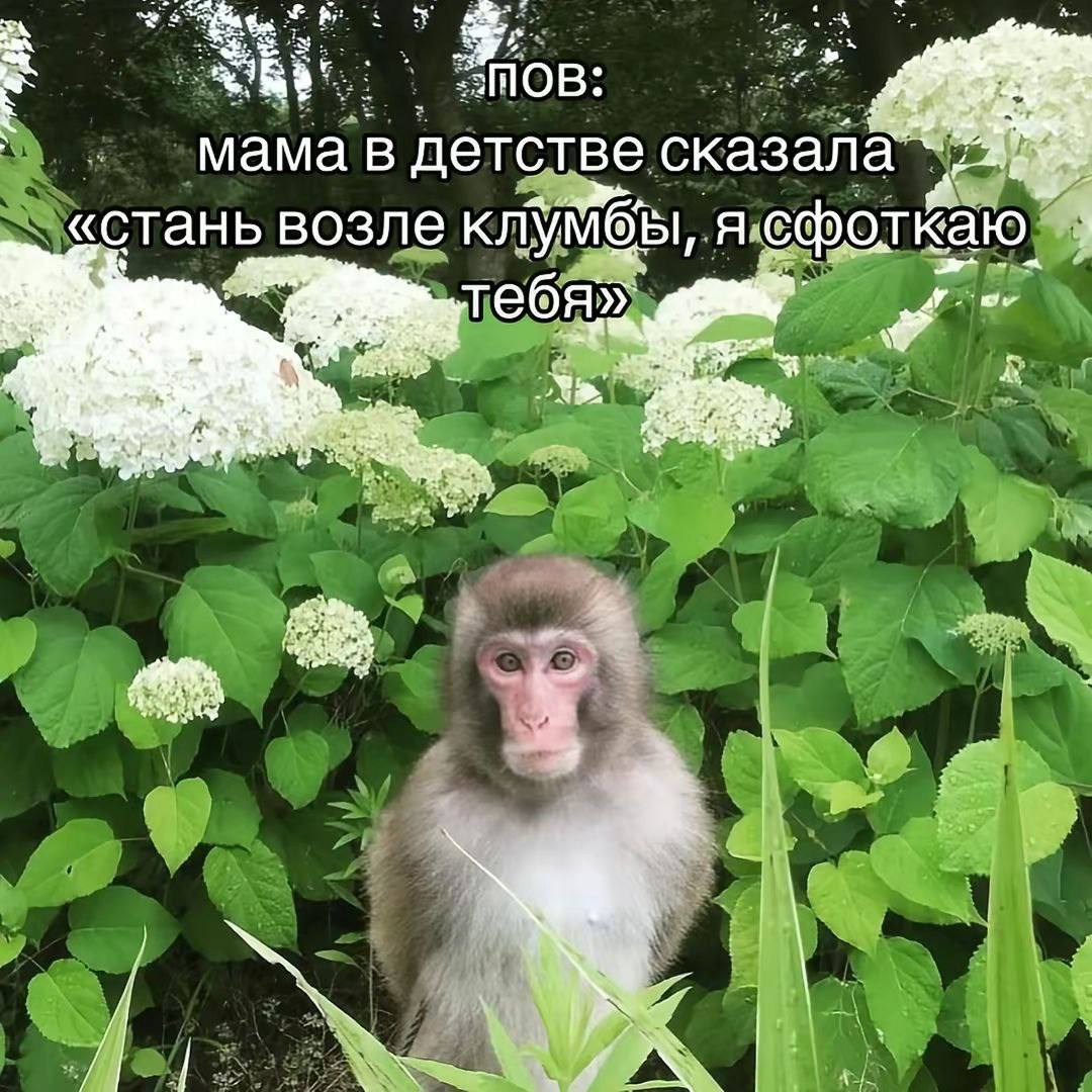 мама в детстве сказала «стань возле клумбы, ясфоткаю к i