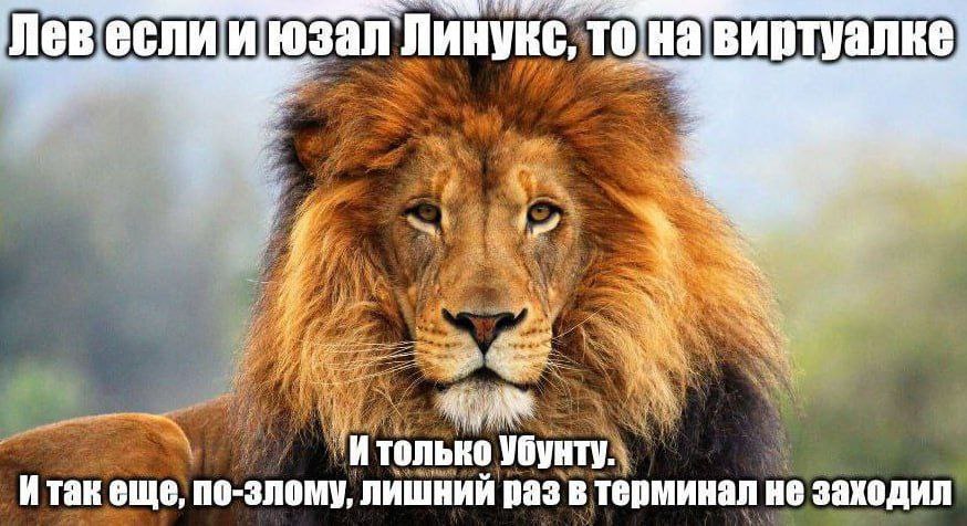 если и юзал Линукс, то на виртуалке “Итолько Убунту. Итак еще, по-злому, лишний раз в терминал не заходил