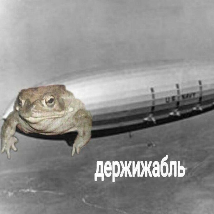 держижабль