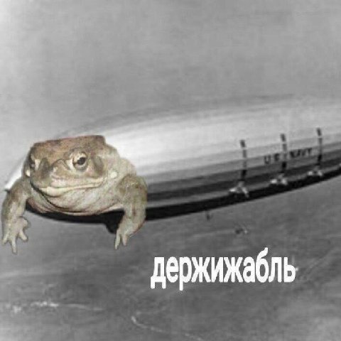 держижабль