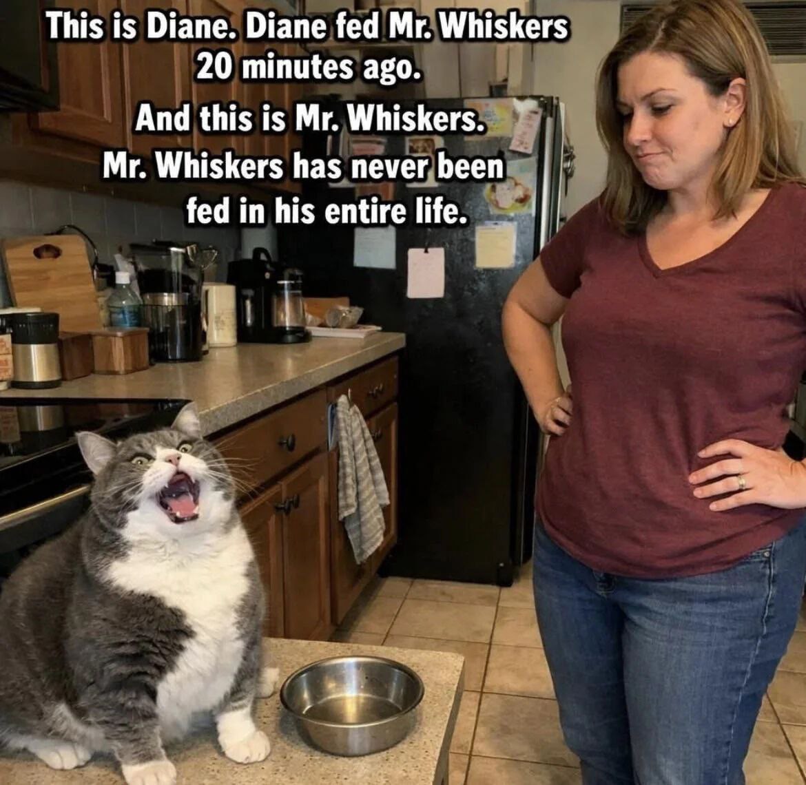 This is Diane. Diane fed Whiskers 20 minutes ago. And this is Whiskers. У Whiskers has пемег Бееп fed in his entire life. a