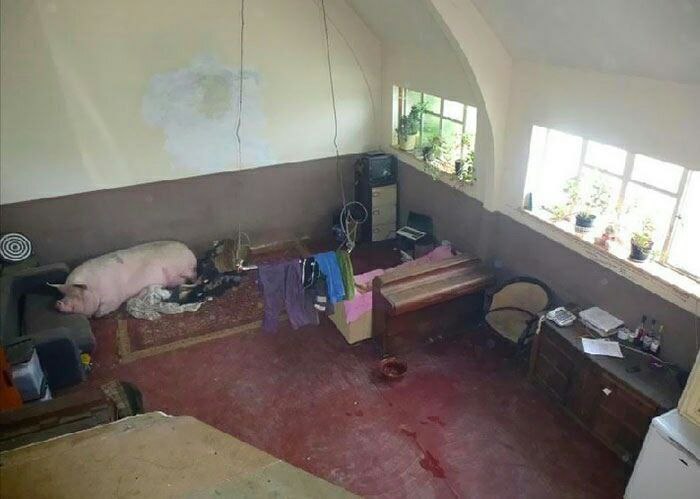 у